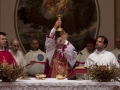 Palme Confraternita Macellai (126)