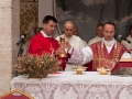 Palme-Confraternita-Macellai-(128)