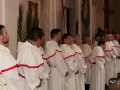Palme-Confraternita-Macellai-(131)
