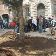 Primo maggio: Benedizione della Quercia