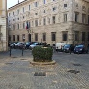 Pronti per la nuova Quercia