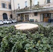 Progetto per l’impianto della nuova quercia