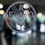 Oggi la Confraternita in visita alla Fao
