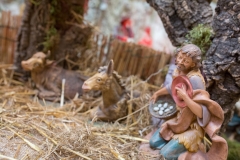 IL PRESEPE della confraternita dei macellai2017