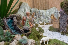 IL PRESEPE della confraternita dei macellai2017