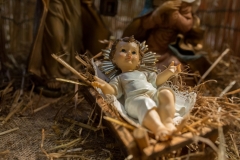IL PRESEPE della confraternita dei macellai2017