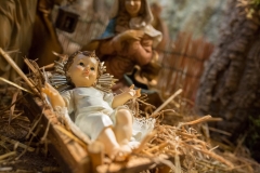 IL PRESEPE della confraternita dei macellai2017