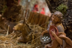 IL PRESEPE della confraternita dei macellai2017