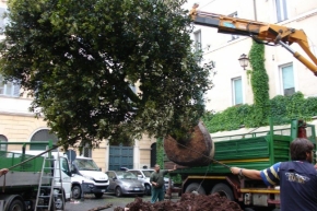 La NUova Quercia