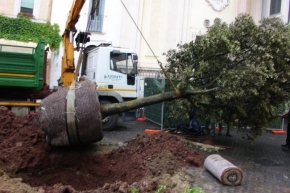 La NUova Quercia