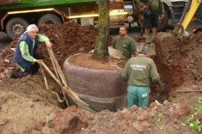 La NUova Quercia