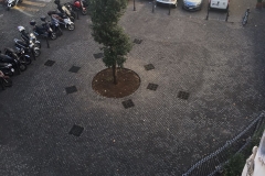 IMG-20161020-WA0003