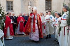 Pasqua Confraternita 2015 (83) (Small).jpg