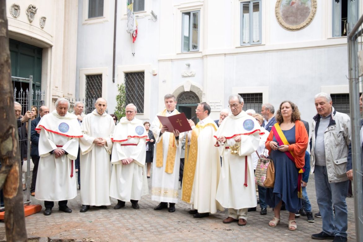 Quercia-126-Large.jpg