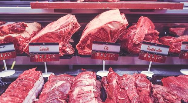 Confagricoltura, accordo Italia-Cina sull’export di carne suine